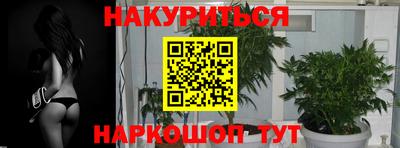 МДПВ Партизанск